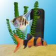 プログラムのアイコン：Aquarium Fish