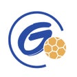 Programın simgesi: GoSport Indonesia