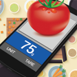 Ikon program: Kitchen Scale simulator f…