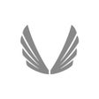 Иконка программы: ASRV