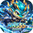 프로그램 아이콘: NN555Loom