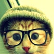Icoon van programma: Top Funny Pics