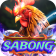 プログラムのアイコン：Udoo Color Game Sabong