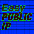 أيقونة البرنامج: Easy Public IP
