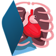 プログラムのアイコン：Sistemas do Corpo Humano …