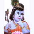Sri Krishna Crackers