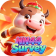 Icona del programma: NN44Survey