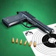 プログラムのアイコン：Pistol shooting at the ta…