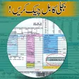 Ícone do programa: All Pakistan Electricity …