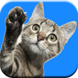 プログラムのアイコン：Cat Sounds Ringtones