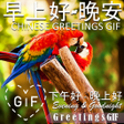 أيقونة البرنامج: Chinese Good Morning Nigh…