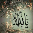 أيقونة البرنامج: أسماء الله الحسني MP3