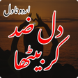 ไอคอนของโปรแกรม: Dil Zid Kar Betha Urdu No…