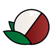程序图标：Litchee