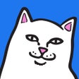 프로그램 아이콘: RIPNDIP