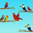 Icône du programme : Bird Sort Color : Puzzle …