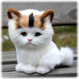 程序图标：Cat Puzzle