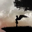 أيقونة البرنامج: Angel Wallpapers