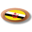 Icon of program: Bruneian apps and games