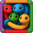 Programikonen: Snake Puzzle Block Jam