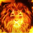 Fire Lion - Live Wallpaper  Keyboard Background