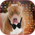 Иконка программы: Biggest Pitbull Keyboard