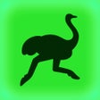 Иконка программы: Delivery Club  Доставка е…