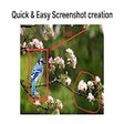 Cloud Screen - screenshots quickly icon