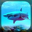Ícone do programa: Sharks Live Wallpaper