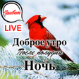 Icona del programma: Russian Good Morning Afte…