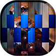 Icon of program: My Photo Transition Live …