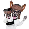 程序图标：Look Here - Pet Camera