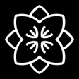 Icon of program: Via Evangélica
