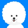 프로그램 아이콘: 미세멍 - 실시간 미세먼지 날씨 비숑