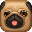 ไอคอนของโปรแกรม: Pug Chalk Sticker Photo E…