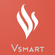 程序图标：Vsmart Partner Promotion