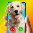 أيقونة البرنامج: My Special Call