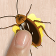 Ikona programu: Cockroach Smasher