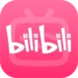 Ikon program: bilibili