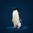 Ikona programu: Penguin Sounds