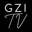 程序图标：GZI TV