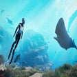 Icon of program: Beyond Blue