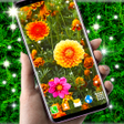 Ikona programu: Autumn Flowers Live Wallp…
