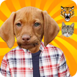 程序图标：Animal Face Maker  Change…