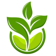 Beejkart icon