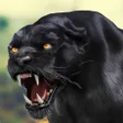 Programın simgesi: Black Panther Family Simu…