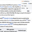 Programın simgesi: Font Style