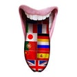 Icon of program: Translator Instantaneous …