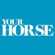 Icoon van programma: Your Horse