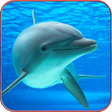 Icon of program: Dolphin Wallpaper HD